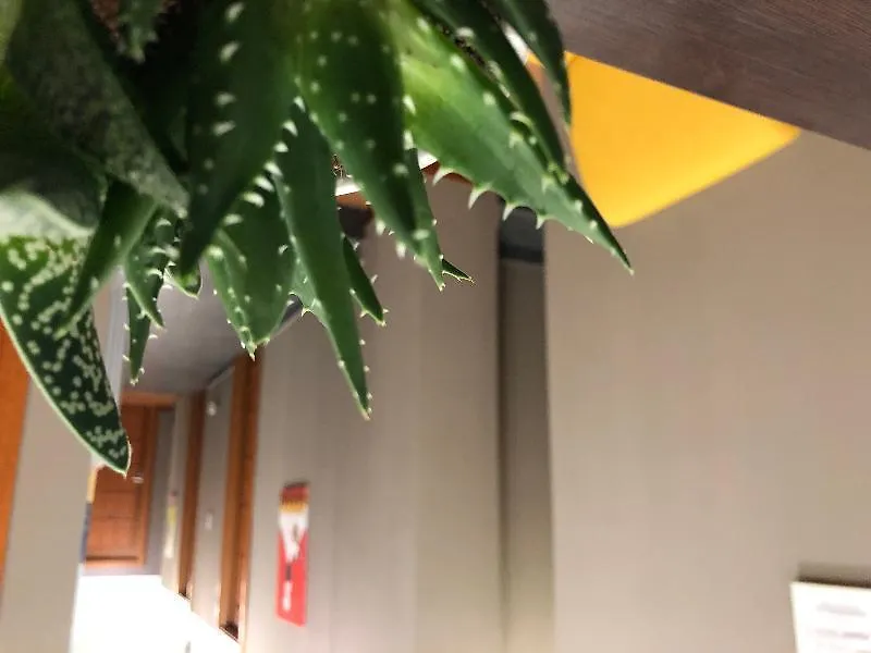 Piazza Carita Hotel Naples Italy